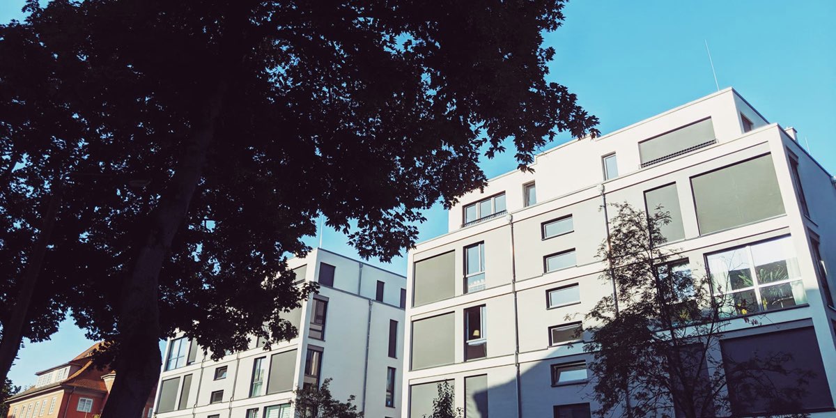 Neubau-Wohnhaus hinter einem Baum